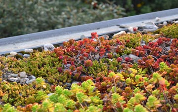 the cost of Hill Chorlton green roof installation