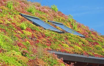Hill Chorlton living roof systems